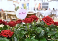 Het lunchgedeelte op de beurs werd opgefleurd door rozen van Nolina.